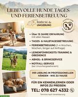🐾 Liebevolle Hunde Tages- und Ferienbetreuung 🐾