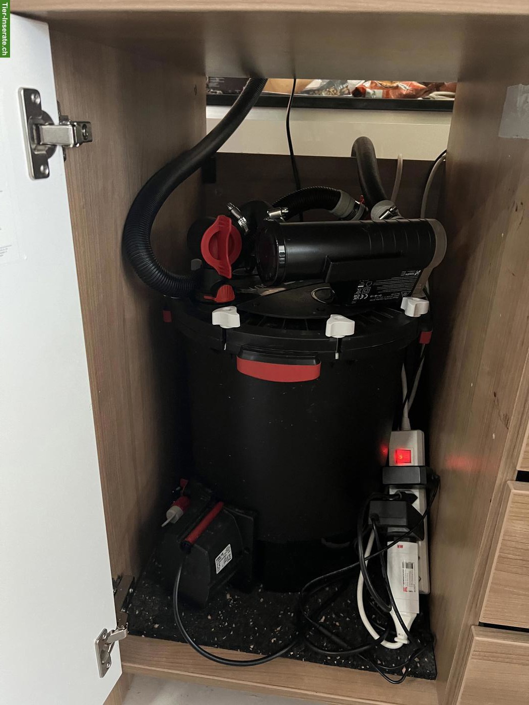 Bild 5: Aquarium 450L zu verschenken: inkl. Besatz, Möbel & Technik