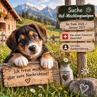 Suche Hof-Mischlingswelpen-Hündin 🐾