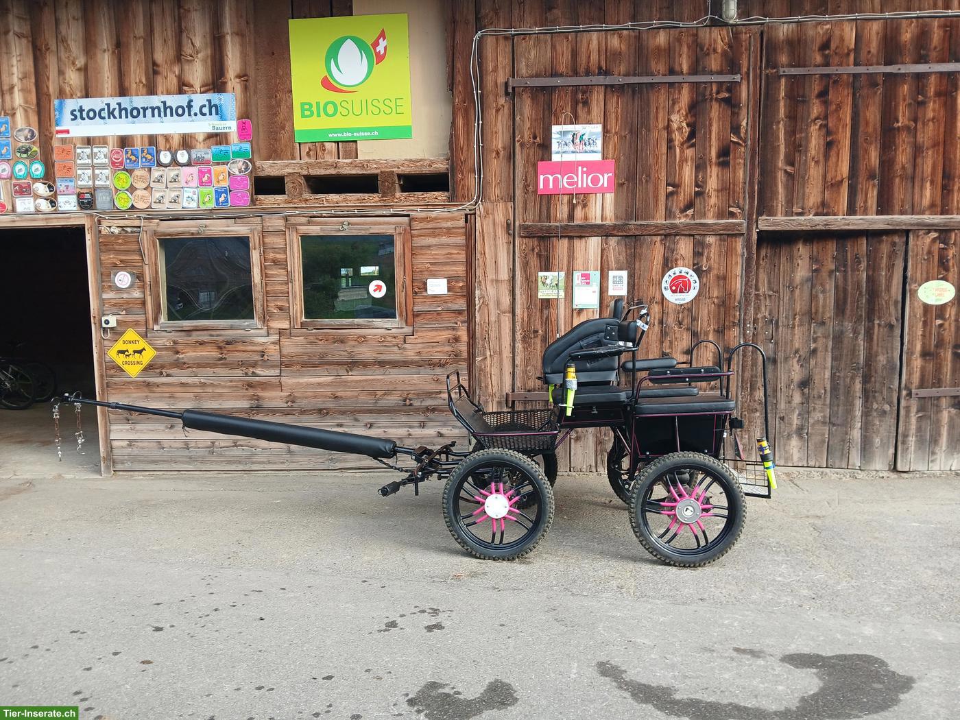 Bild 5: Einspänner und Zweispänner Trainingswagen