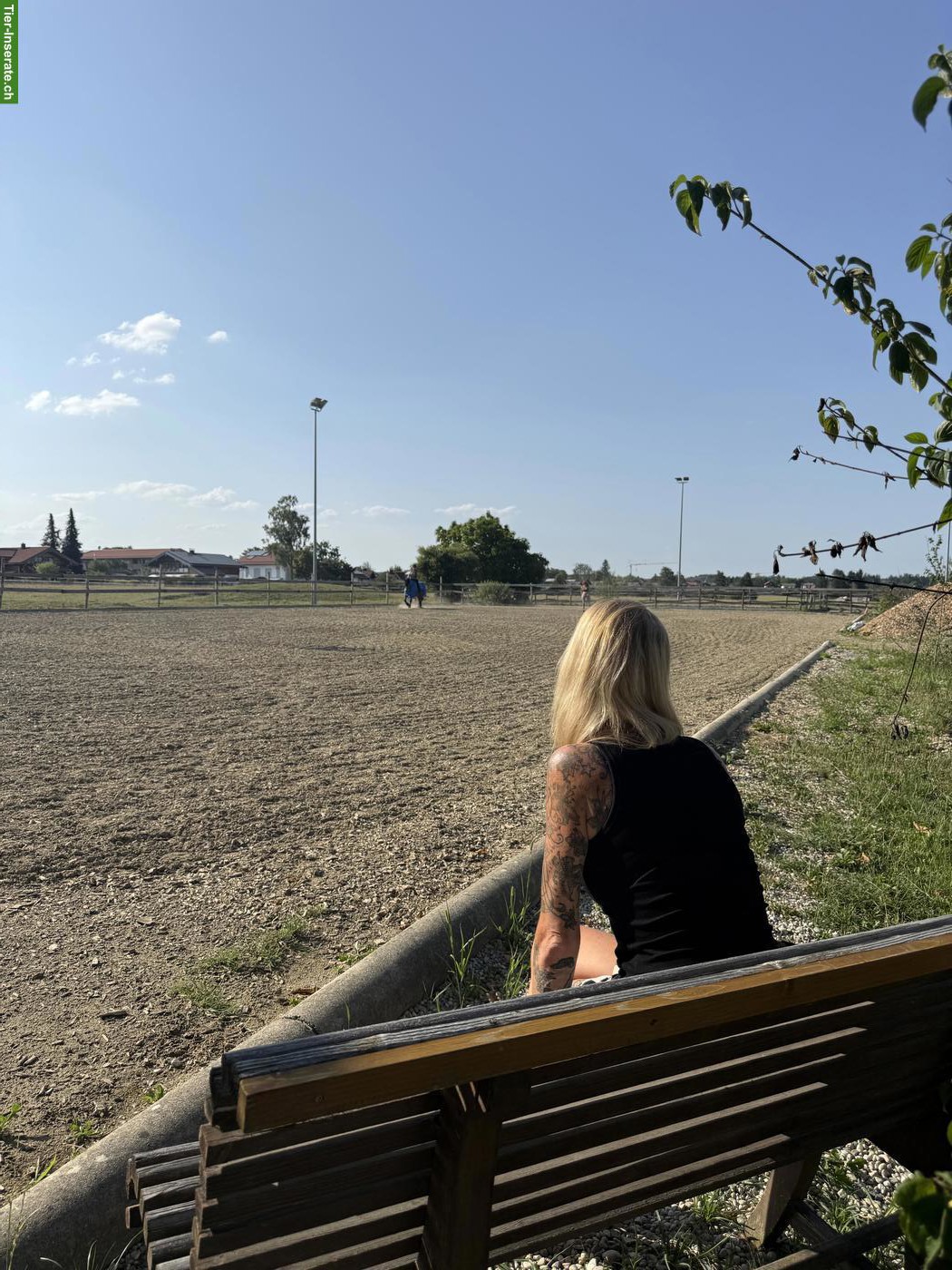 Bild 2: 🐴 Shetty / Pflegepony gesucht im Raum Eschenz / Stein am Rhein ❤️