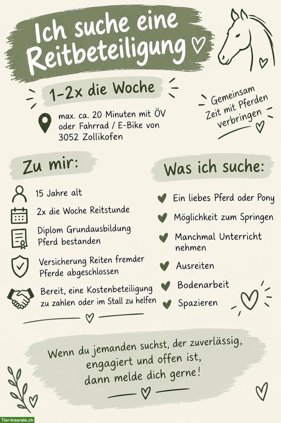 Suche Reitbeteiligung Zollikofen