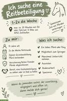 Suche Reitbeteiligung Zollikofen