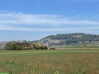 Toller Pensionsplatz für älteres Islandpferd in Eglisau