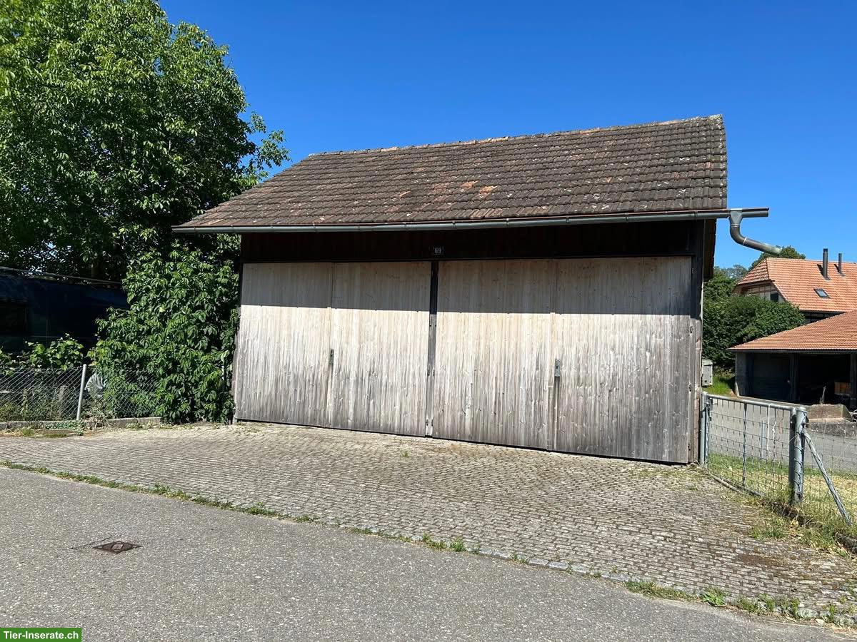 Bild 7: Pferdestall, Selbstversorger in Biezwil