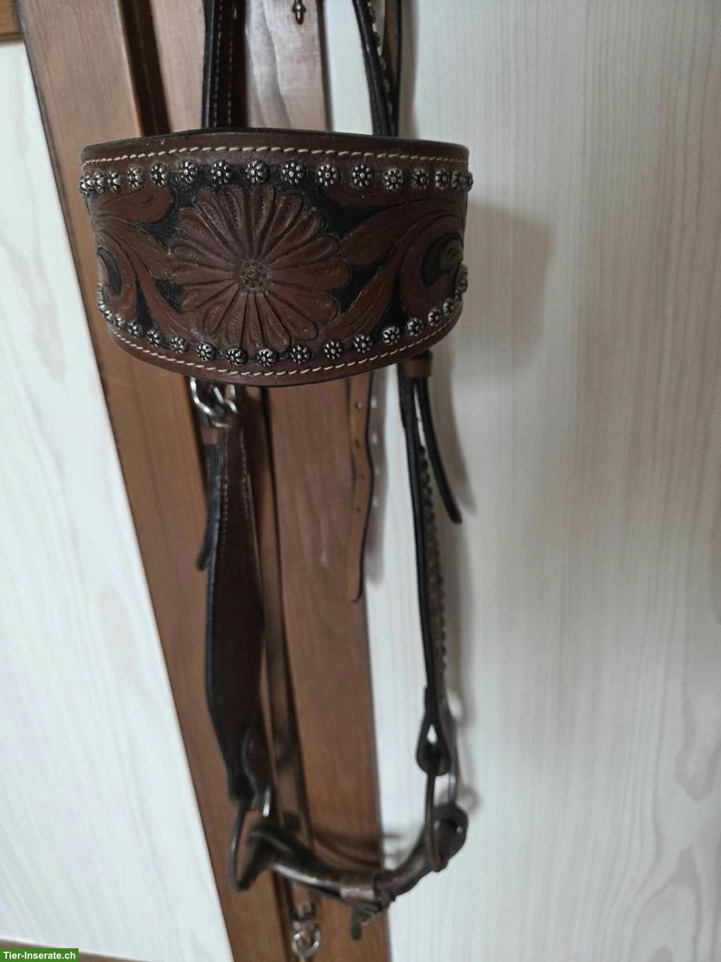 Bild 4: 1 Zaum Englisch (Neu) + 2 Zaum Western (gebraucht)