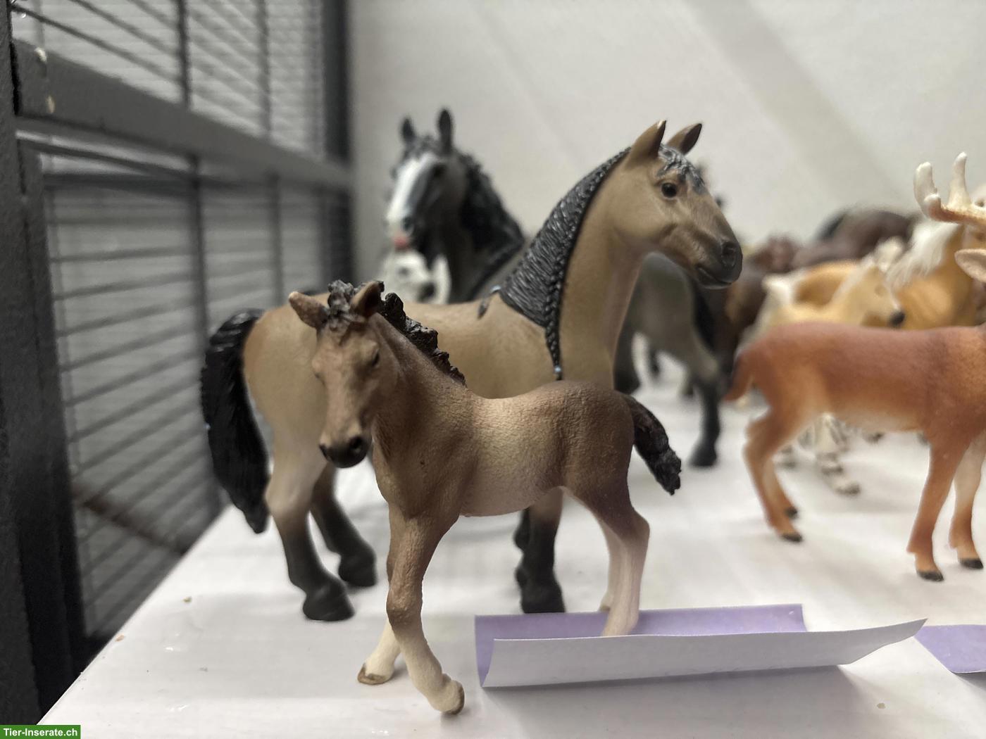 Schleich-Figuren Tiere inklusive Limited Edition zu verkaufen