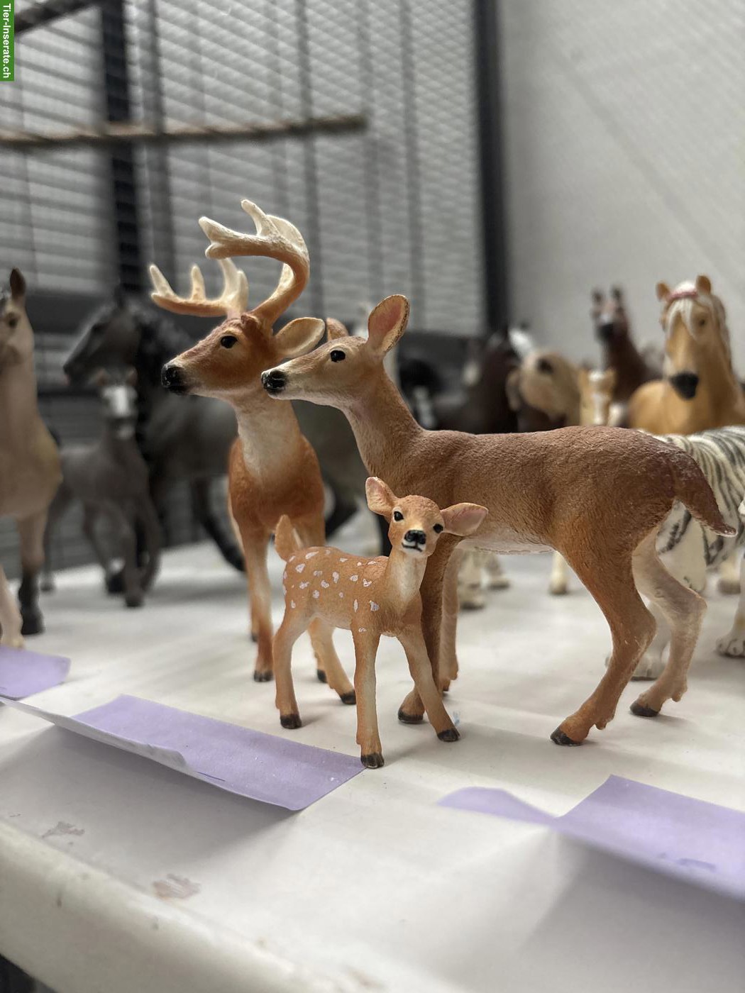 Bild 4: Schleich-Figuren Tiere inklusive Limited Edition zu verkaufen