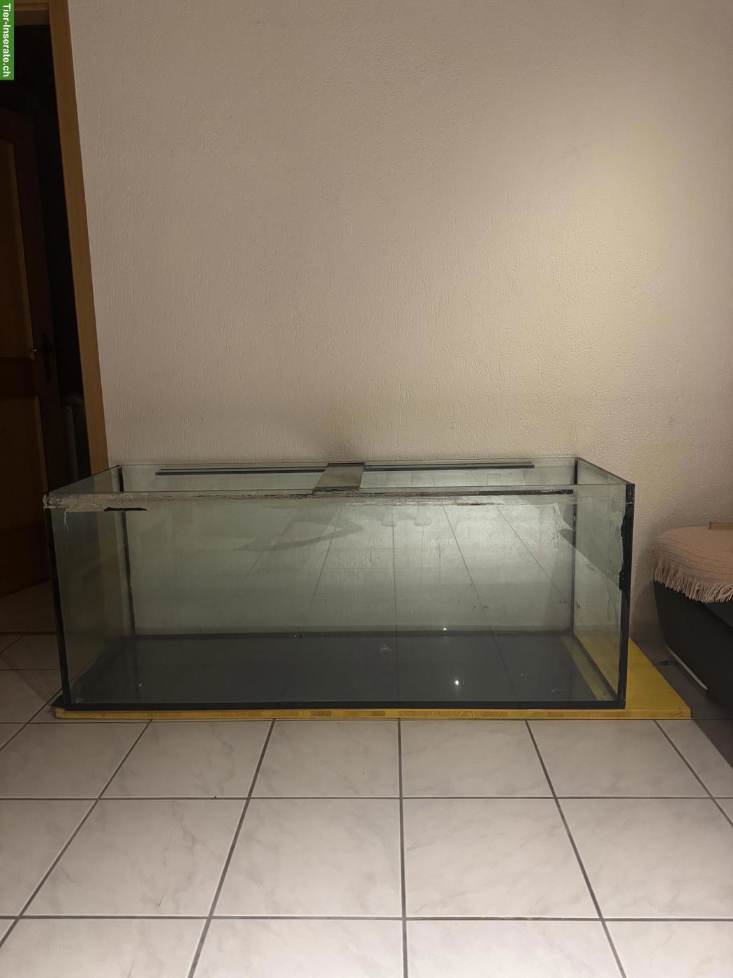 Aquarium 150x50x60cm zu verkaufen