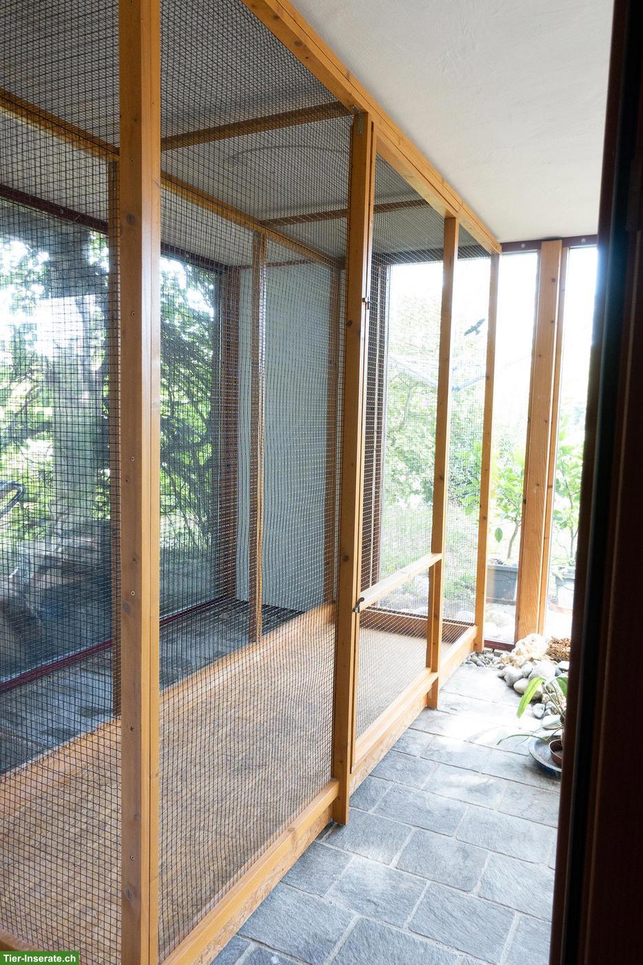 Bild 2: Vogelkäfig aus Holz und Metallgitter zu verkaufen