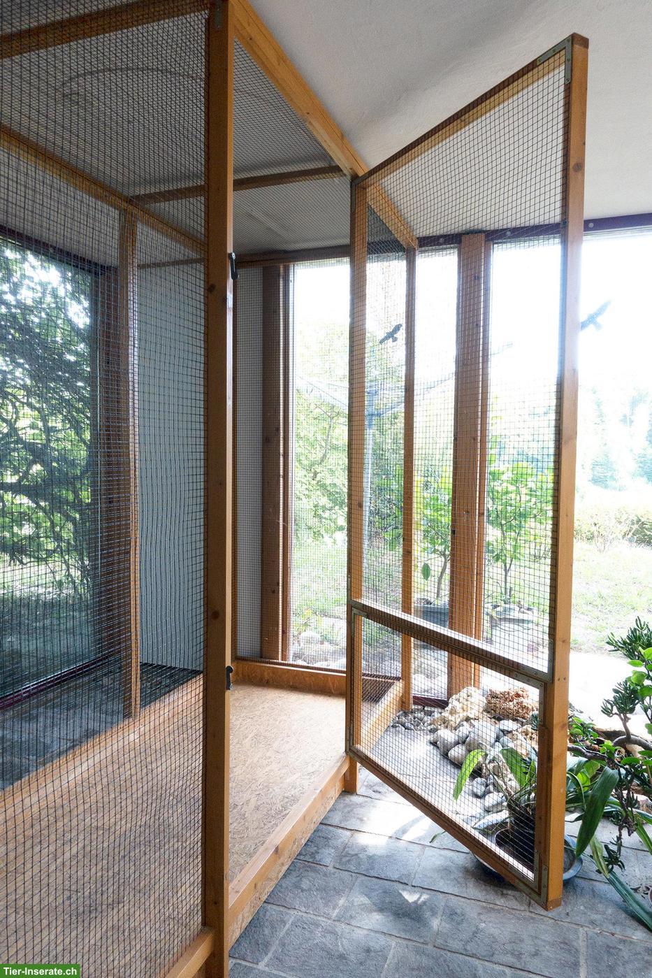 Bild 3: Vogelkäfig aus Holz und Metallgitter zu verkaufen