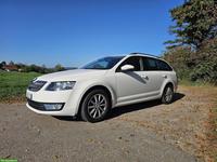Skoda Octavia 2.0 TDI inkl. Hundegittertür zu verkaufen