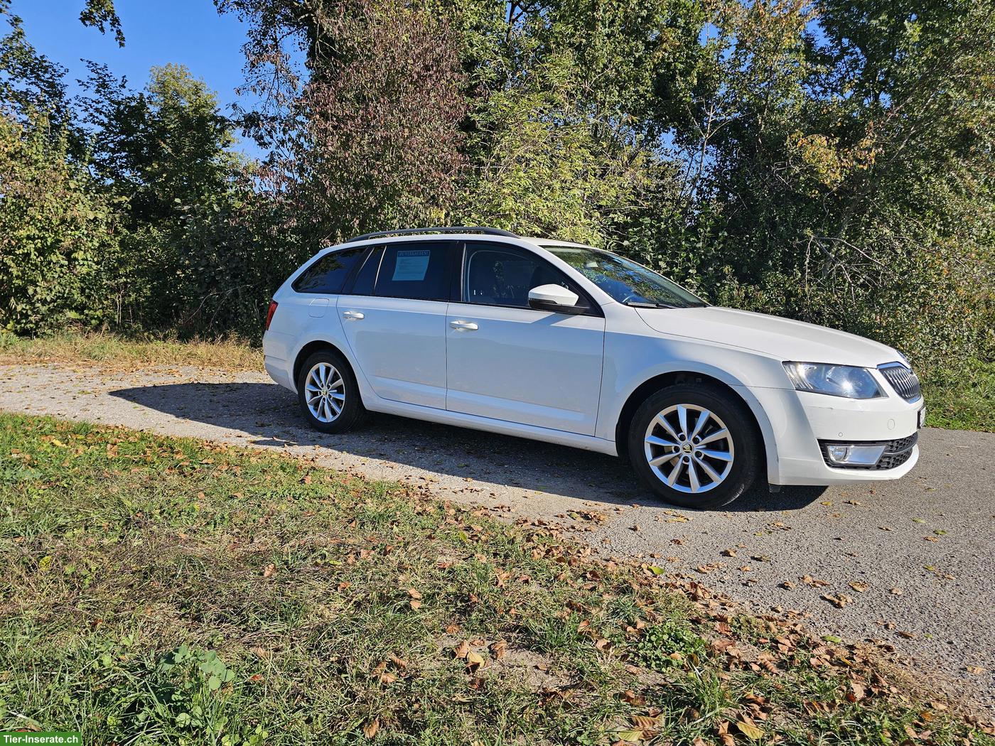 Bild 2: Skoda Octavia 2.0 TDI inkl. Hundegittertür zu verkaufen