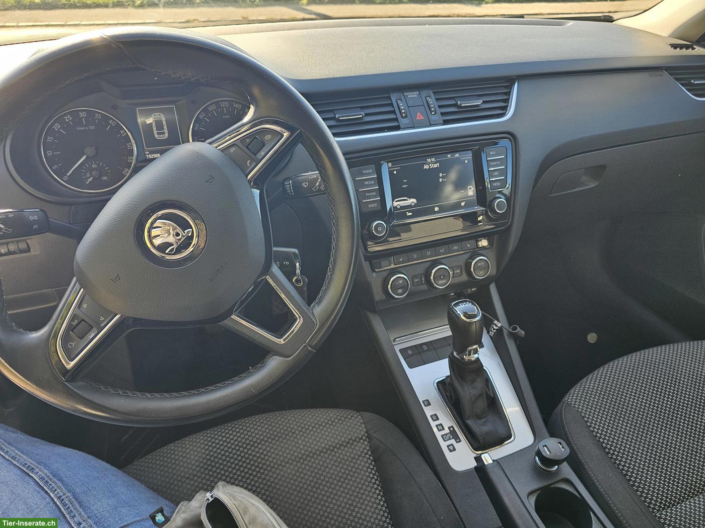 Bild 4: Skoda Octavia 2.0 TDI inkl. Hundegittertür zu verkaufen