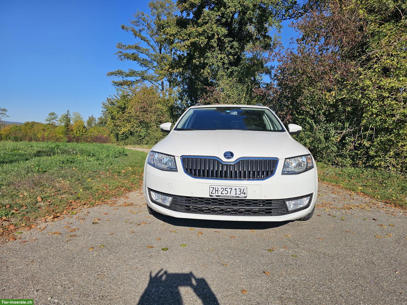 Bild 6: Skoda Octavia 2.0 TDI inkl. Hundegittertür zu verkaufen