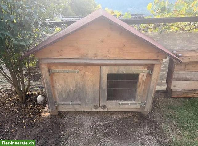 Bild 2: Kaninchenstall / Hasenstall zu verkaufen