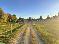 Fensterbox, Paddock-Box Schweizer Grenze, Vollpension Beritt