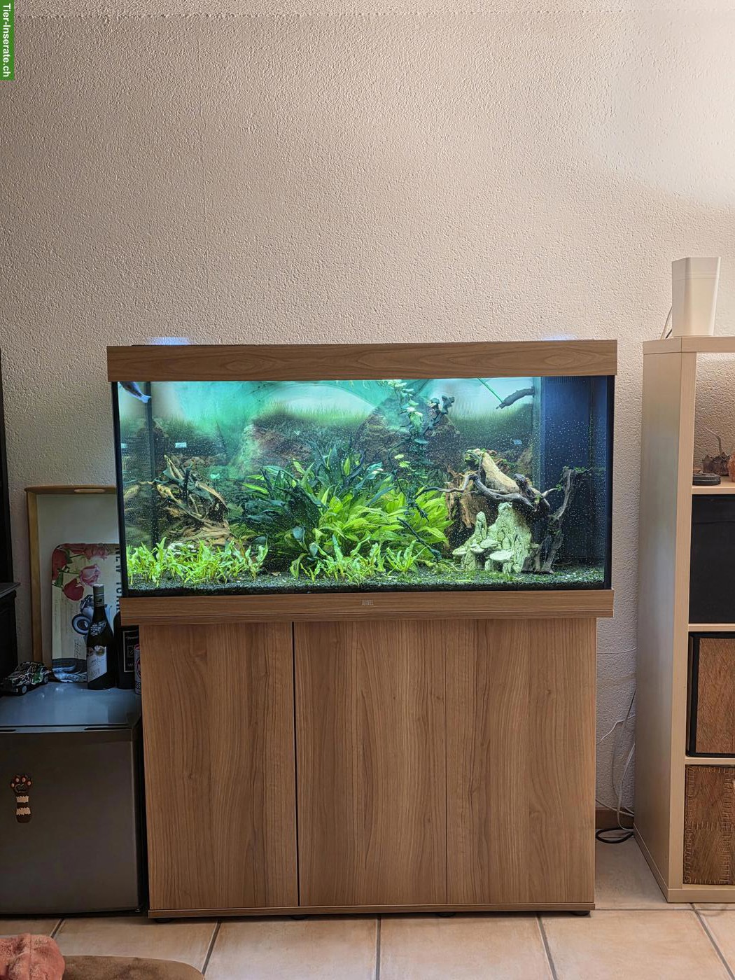 Juwel Rio 350 Aquarium mit Unterschrank - Komplett oder Leer