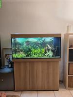 Juwel Rio 350 Aquarium mit Unterschrank - Komplett oder Leer