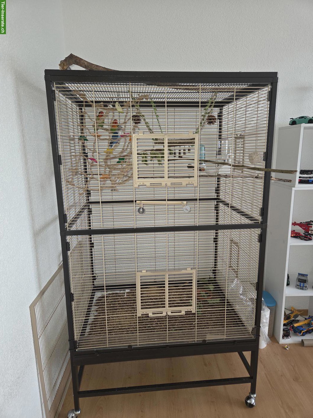 Vogelvoliere Montana Paradiso 90 zu verkaufen