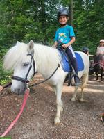 Pony Wallach, brav und kinderlieb, 115cm