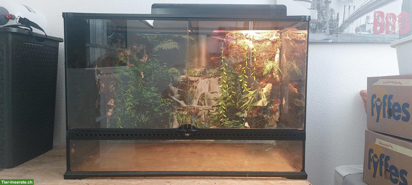 Bild 2: Exo Terra Terrarium 90cm inkl. Lampe