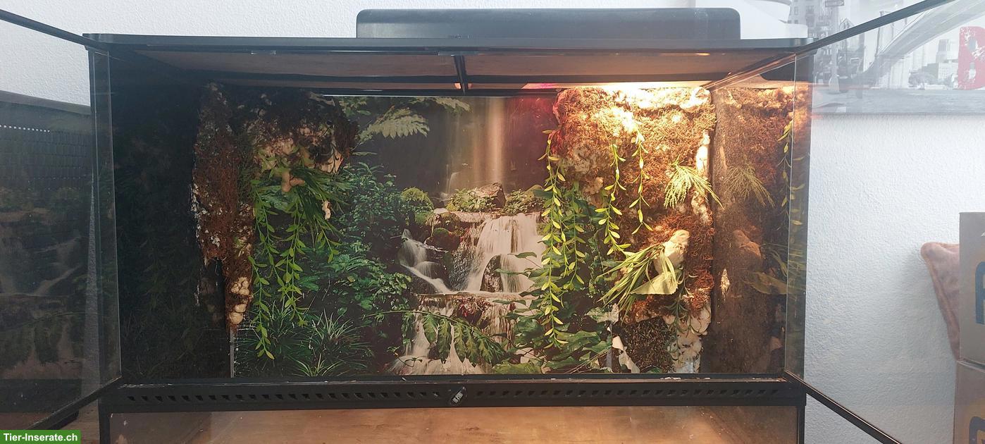 Bild 3: Exo Terra Terrarium 90cm inkl. Lampe