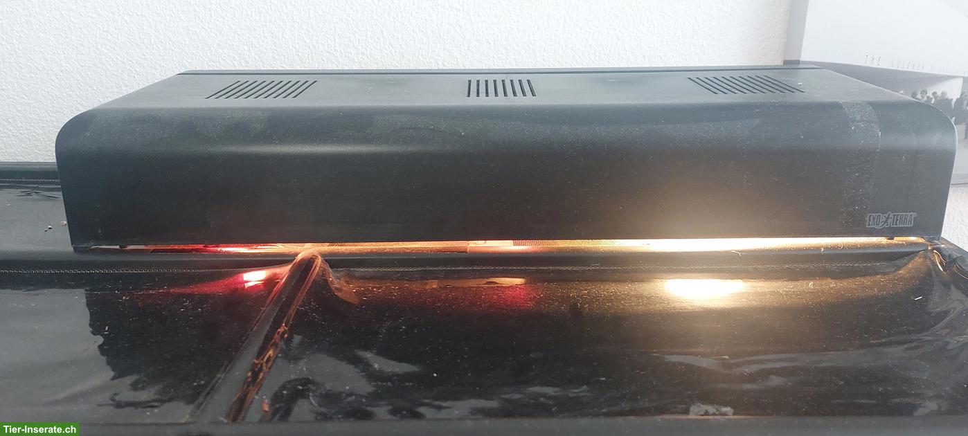 Bild 4: Exo Terra Terrarium 90cm inkl. Lampe