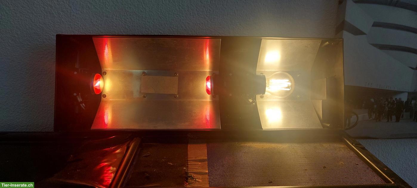 Bild 5: Exo Terra Terrarium 90cm inkl. Lampe