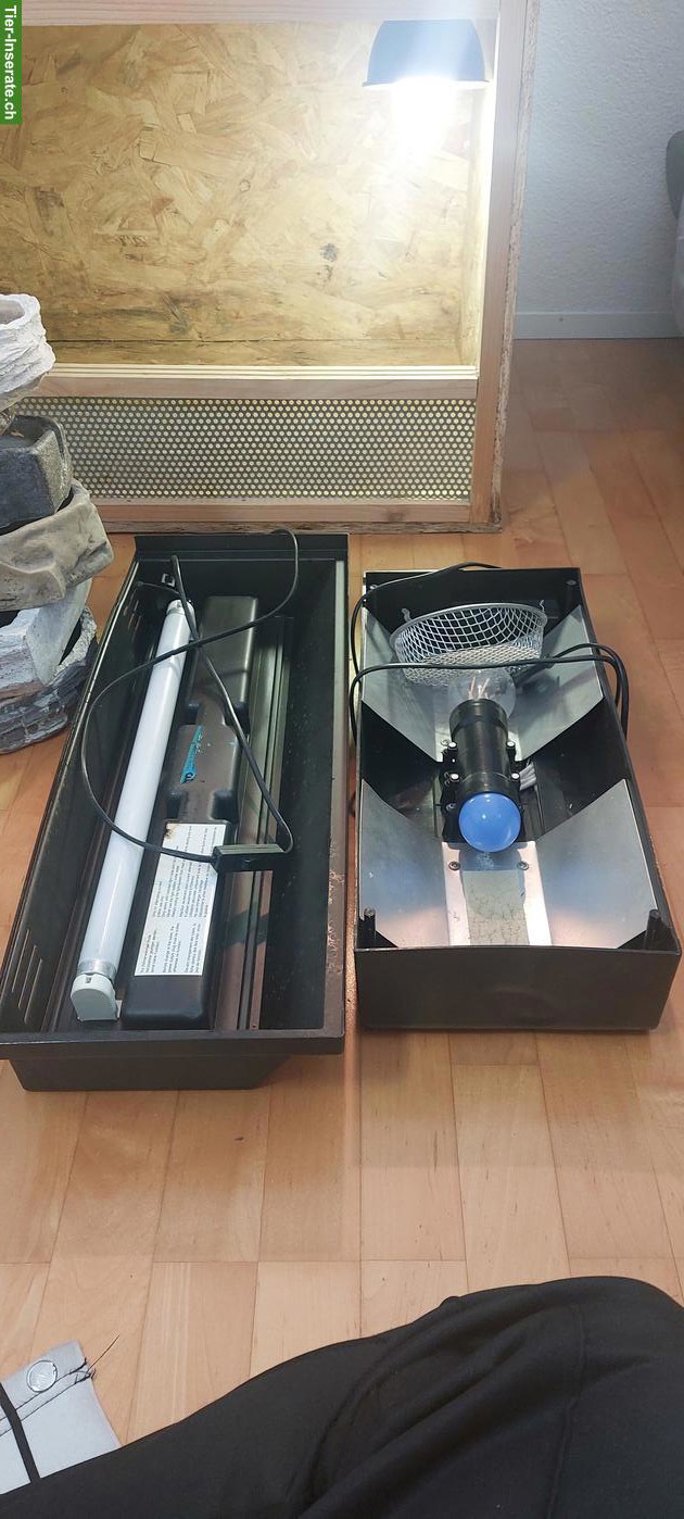 Bild 3: Terrarium 120 zu verkaufen, inkl. Zubehör