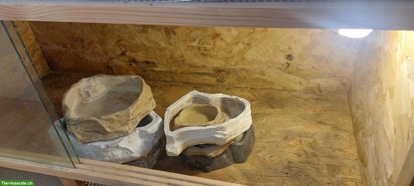 Bild 4: Terrarium 120 zu verkaufen, inkl. Zubehör