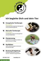Energetische Osteopathie, Pferdetraining