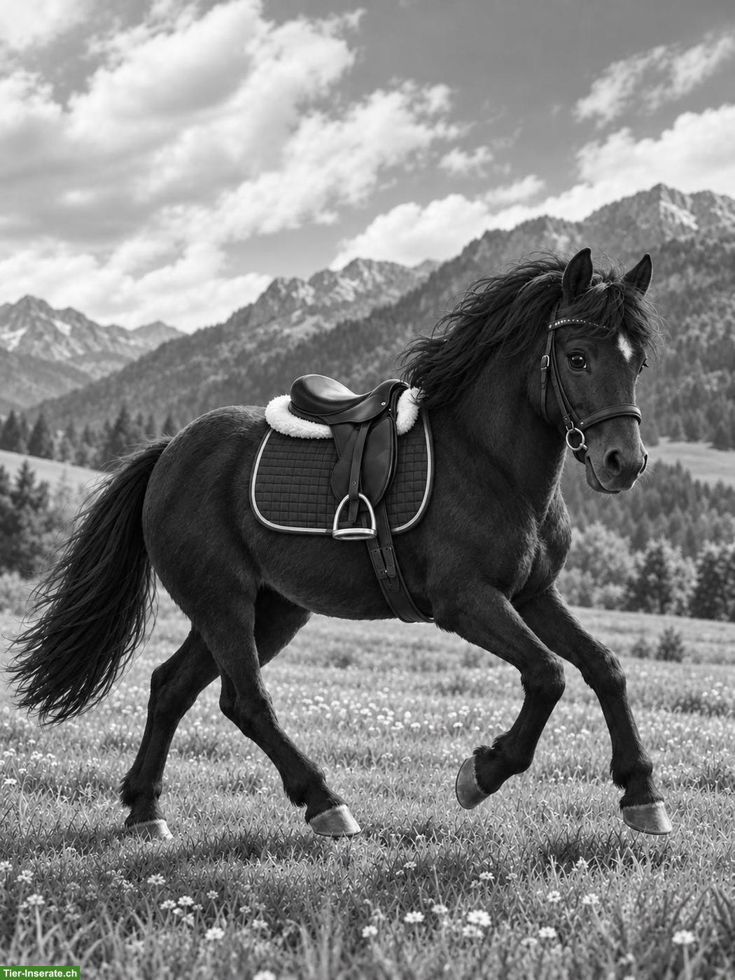 Pflege-/Reitbeteiligung in Bad Ragaz/Sargans