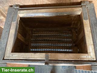 Bild 2: Heukiste Horsefeed Box Heubox Slow Feeder