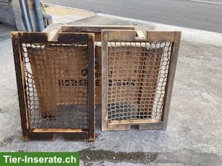 Bild 5: Heukiste Horsefeed Box Heubox Slow Feeder