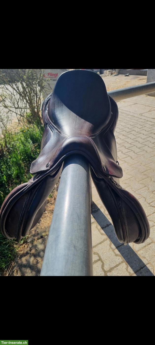 Bild 4: LaBelle Springsattel zu verkaufen