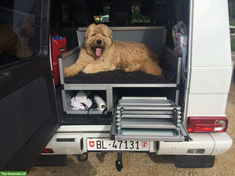 Bild 3: Hundebox, Hundetreppe, Hunderampe, Einstiegshilfe, G-Klasse