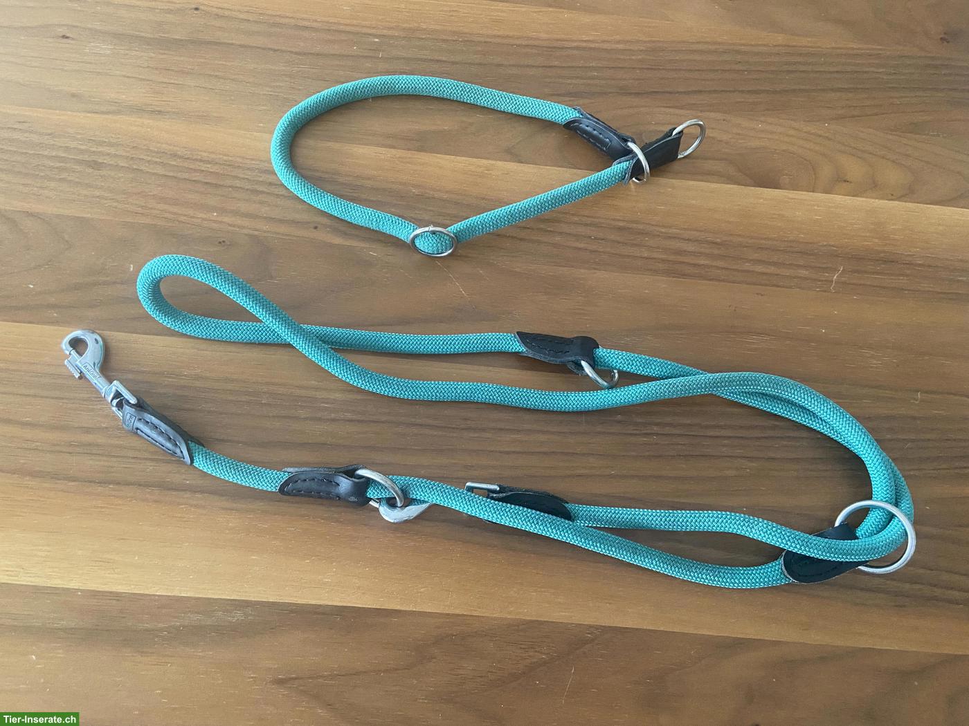 Bild 4: Verschiedenes Hundezubehör zu verkaufen