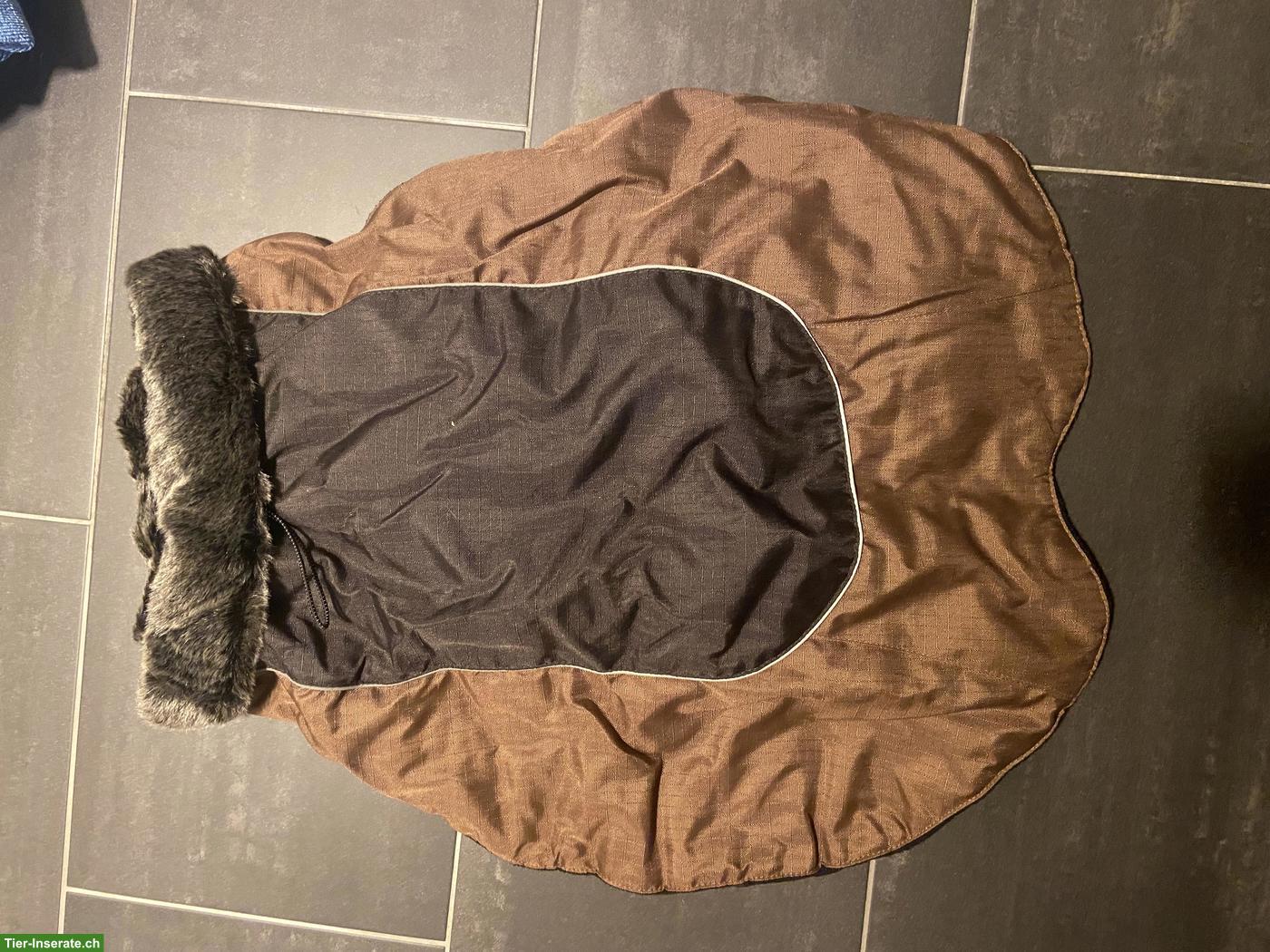 Bild 9: Verschiedenes Hundezubehör zu verkaufen