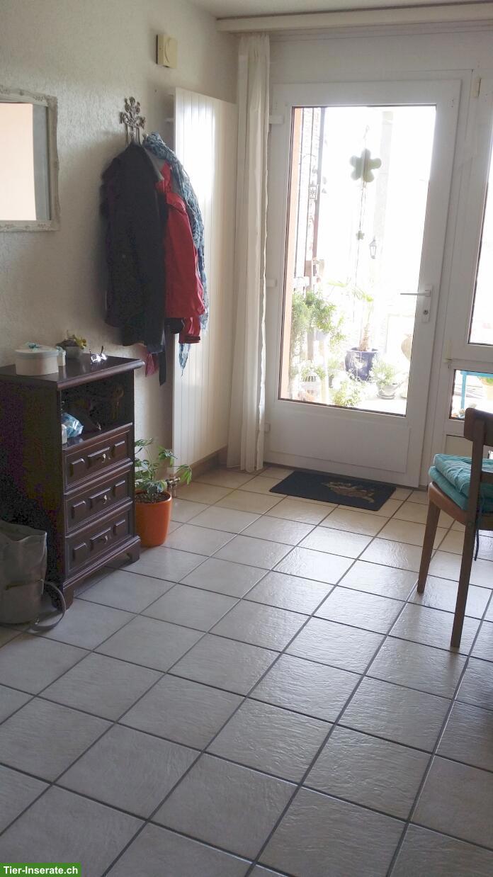Bild 4: Einzigartige 3-Zimmer Wohnung nähe Laupen BE