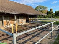 Suche Stallpartner:in für Selbstversorger-Stall in Mettmenstetten! 🐎