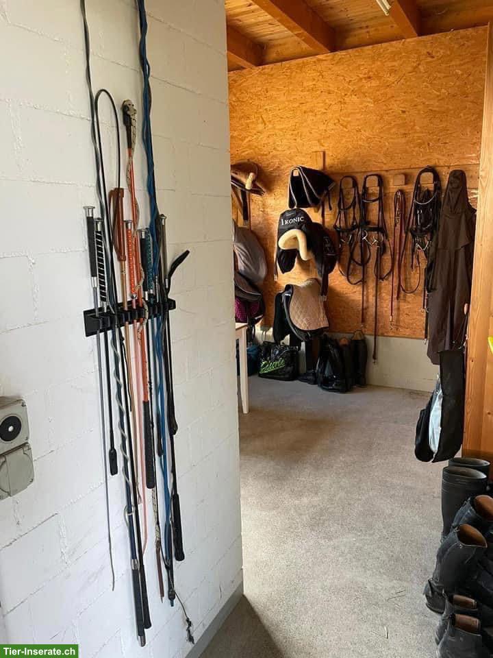 Bild 2: Suche Stallpartner:in für Selbstversorger-Stall in Mettmenstetten! 🐎