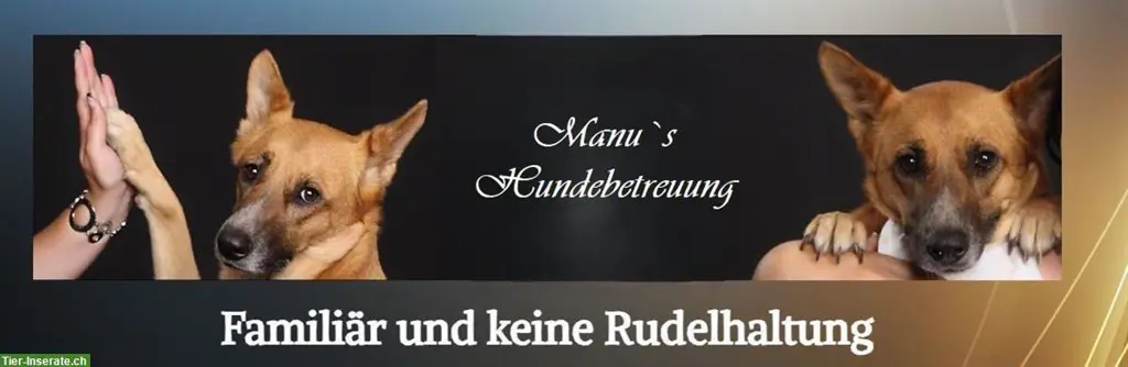 Biete Hundebetreuung privat & familiär, keine Rudelhaltung