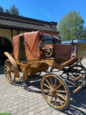 Dressurwagen Franc Vis‑à‑vis‑Kutsche