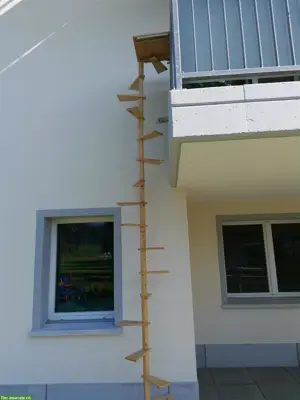 Katzenwendeltreppe aus Massivholz, wie NEU!