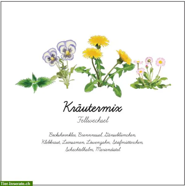 1kg KrĂ€utermischungen Pferde đŽ Bio LebensmittelqualitĂ€t