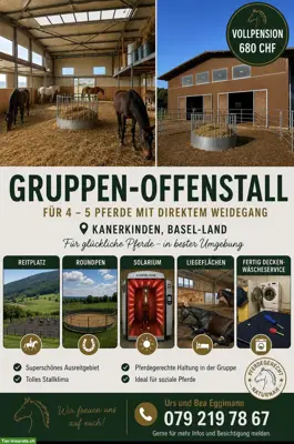 Offen-Gruppenstall für 4-5 Pferde in Känerkinden BL