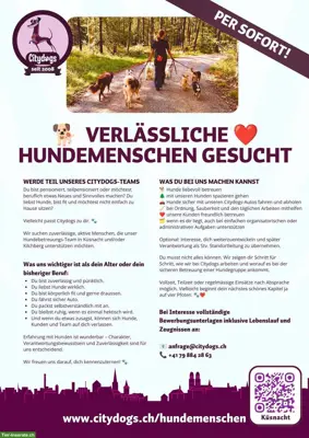 Verlässliche Hundemenschen, Hundesitter/in gesucht 🐕❤️