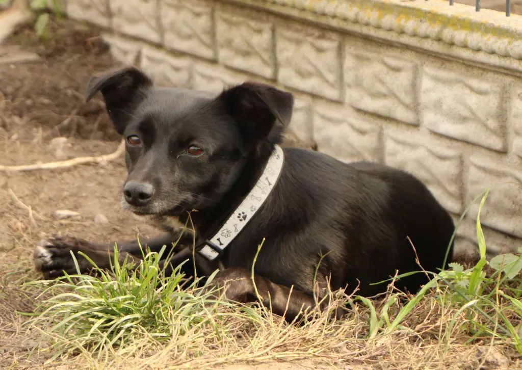 c2f75715-e112-4384-a3ee-b08c9158a599-Winnie 26 10 08 (1).jpg