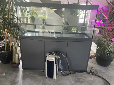 Aquarium Volga 450Liter   / Jahrgang  2026
